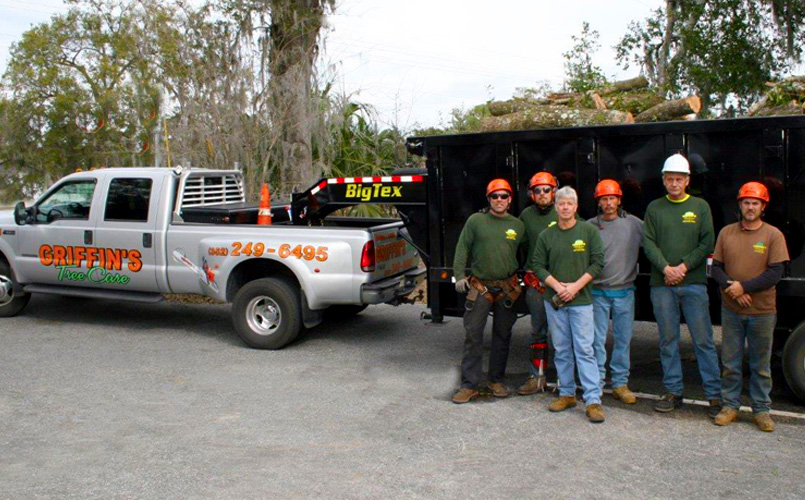 Tree services near me - Palm Beach County Tree Trimming and Tree Removal  Services